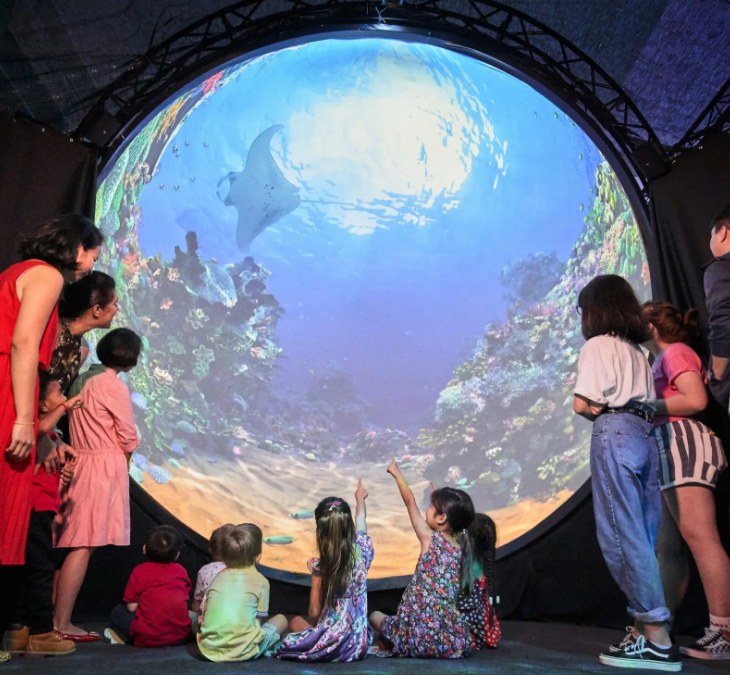 An Animal Planet Experience