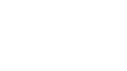 Felix & Paul Logo